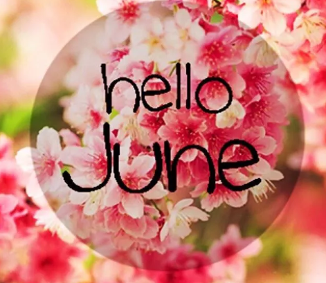 迎接六月的第一天说说 迎接六月的第一天心情句子