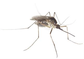 含驱蚊胺止痒产品推荐 孩子被蚊子咬用什么比较有用