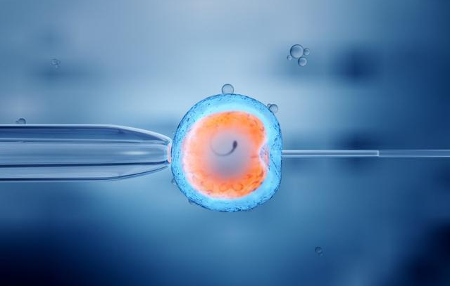 人工受精和人工授精有什么不同 人工受精和人工授精的区别