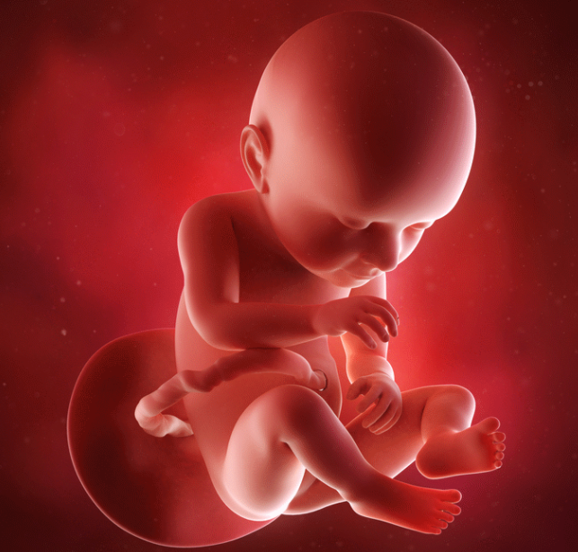 胎儿打嗝一般什么时候出现 胎儿打嗝的好处