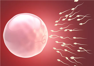 卵泡要越大越好吗 卵泡过大会影响怀孕吗