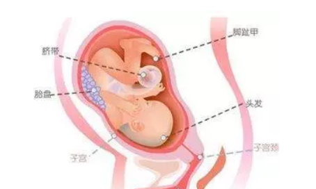 孕早期出血怎么看是不是流产 孕早期流产能用黄体酮保胎吗