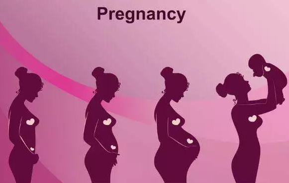 怀孕第几周会出现胎动 怀孕胎动什么时候有规律性