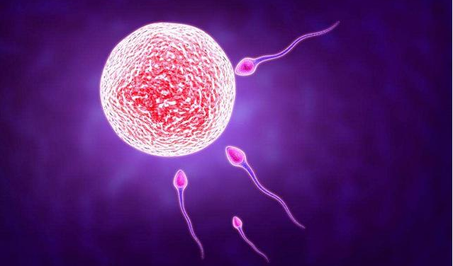 排卵期没有受孕是怎么回事 快速提高怀孕几率的同房技巧