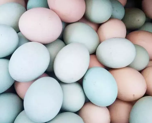 孕期孕妇每天都要吃鸡蛋吗 孕妇吃鸡蛋有什么好处