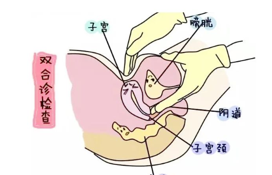 子宫前置怎么容易怀孕 备孕子宫前置好不好