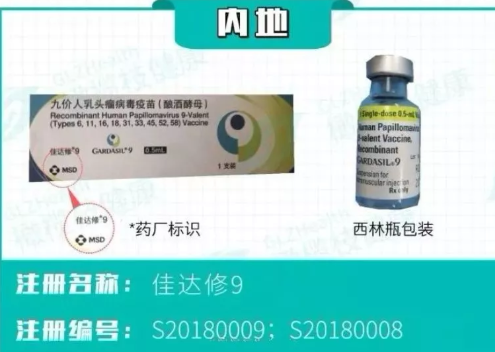 上海打九价HPV疫苗能刷医保吗 上海打九价宫颈癌疫苗多少钱