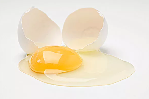 鸡蛋壳是什么垃圾 鸡蛋壳是干垃圾还是湿垃圾