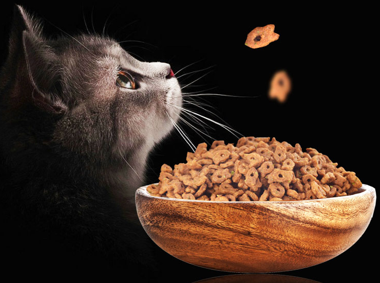 湿猫粮干猫粮是什么垃圾 湿猫粮干猫粮是干垃圾还是湿垃圾