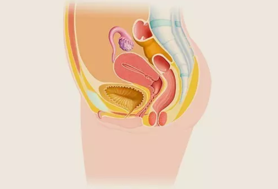 宫颈妊娠要做哪些检查 宫颈妊娠的临床表现症状