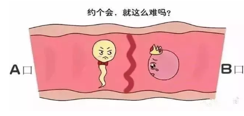 输卵管两边都堵塞了怎么办 输卵管两边堵塞只能做试管了吗