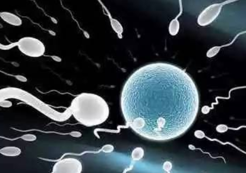 精子有颗粒是怎么回事 精液有颗粒是炎症吗