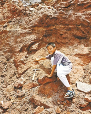 小学生发现六千万年前恐龙蛋长什么样 小学生在哪发现的恐龙蛋