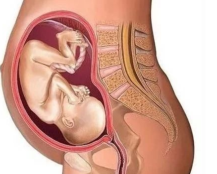 胎儿缺氧会有什么后果 胎儿缺氧要注意什么
