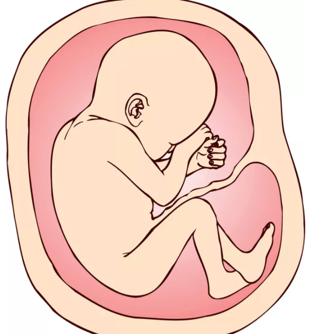 胎盘位置在什么地方比较好 胎盘位置低就是前置胎盘的意思吗