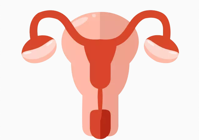 子宫内膜炎可以过性生活吗 如何确诊子宫内膜炎