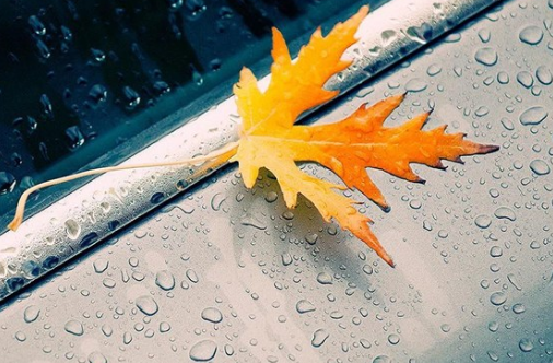 关于秋雨的心情说说句子 秋雨带字唯美图片