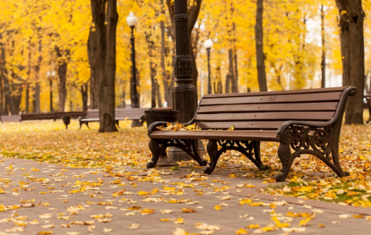 描写秋天景色的句子 秋天景色优美的短句