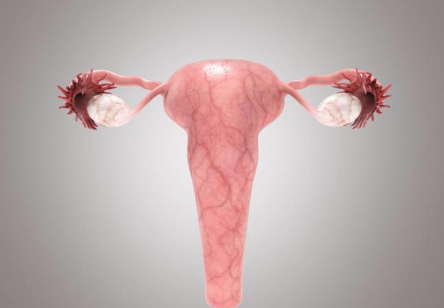阴道镜检查多长时间能出结果 女性阴道镜检查能检查出什么