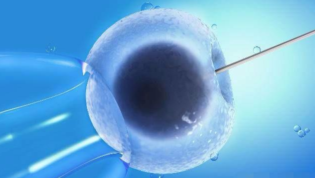 试管婴儿胚胎什么等级最好 胚胎的培育过程是怎样