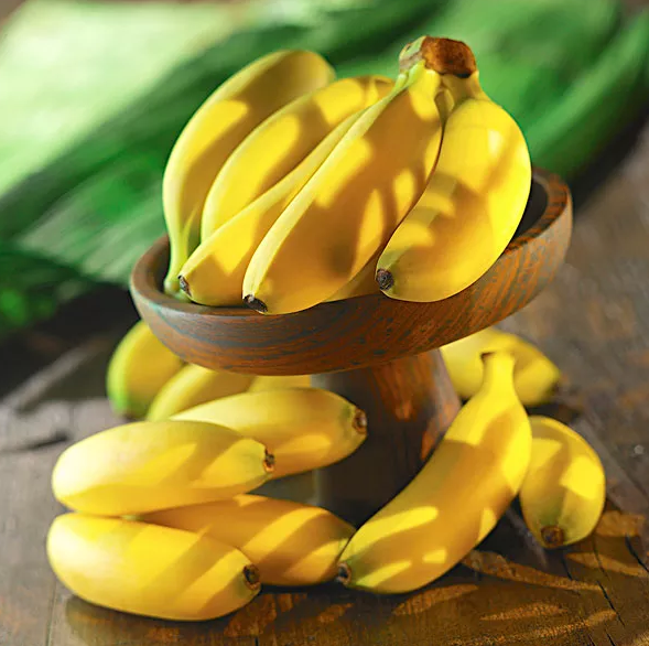 2050年香蕉或将完全消失是真的吗 香蕉或将完全消失是怎么回事