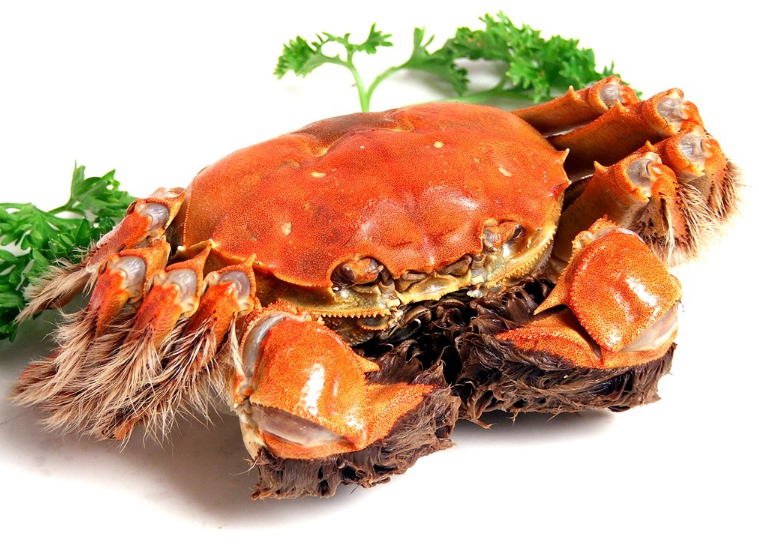 螃蟹吃不完可以放冰箱吗 晚上蒸的螃蟹吃不完如何存放2019