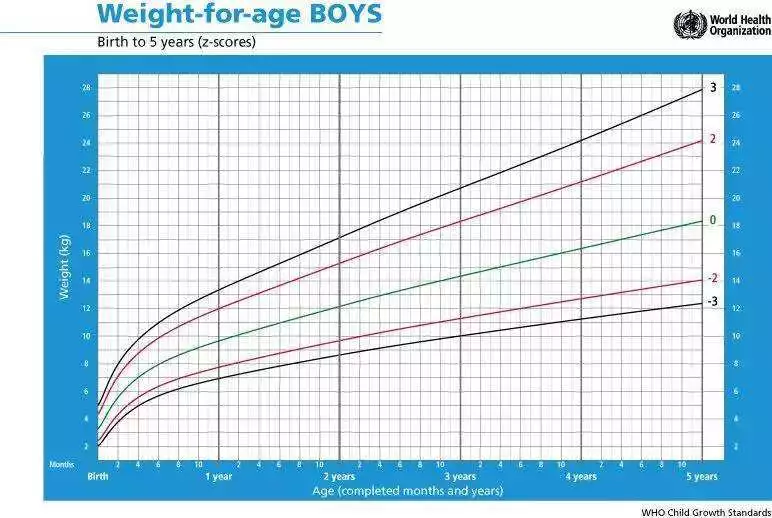 怎么给宝宝测量体重比较好 孩子的体重增长有什么规律