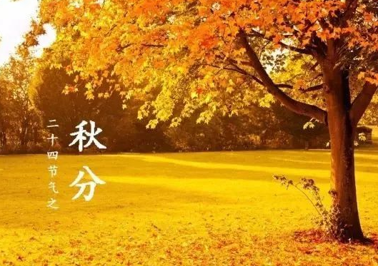 2019最新秋分节气祝福语 关于秋分祝福语大全