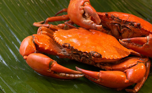 宝宝吃螃蟹过敏的症状 吃螃蟹过敏怎么办