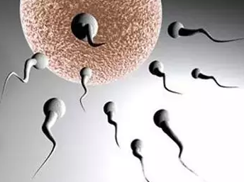 男性的精子能吃吗 女性吃精子有什么好处
