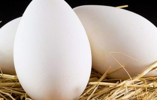 孕妇能吃鹅蛋吗 什么时候吃鹅蛋好