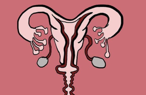 子宫内膜薄可以做试管婴儿吗 为什么子宫内膜会变薄