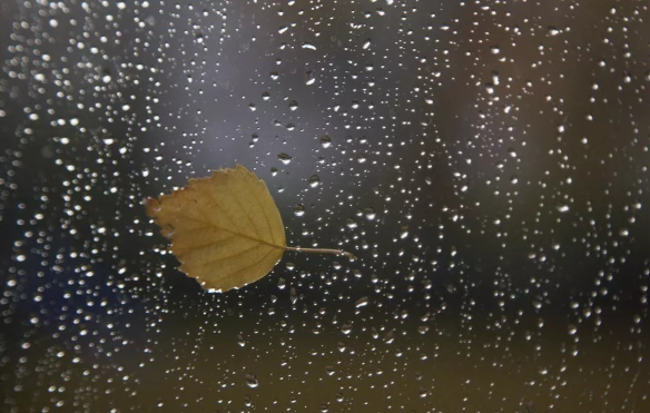 秋雨绵绵的唯美句子 描写秋雨的唯美说说