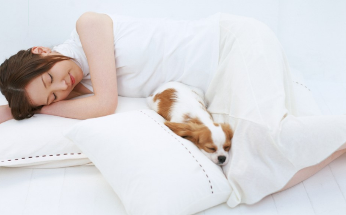 睡太多增加痴呆风险是真的吗 睡眠过多有什么危害