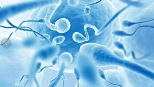 精子不液化是什么原因造成的 精子不液化还能怀孕吗