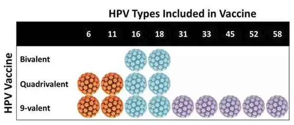 有九价是不是不用打四价HPV疫苗 四价hpv有必要打吗