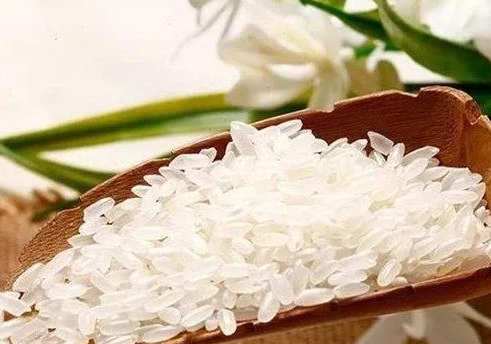 籼米和普通米有什么区别 籼米有什么营养价值