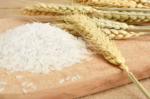 籼米和普通米有什么区别 籼米有什么营养价值