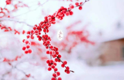 又是一年立冬到的祝福语说说 2019立冬来了的微信祝福语