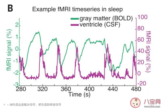 人类睡觉时大脑清洗过程是怎么进行的 为什么人只有在睡觉时才会洗脑