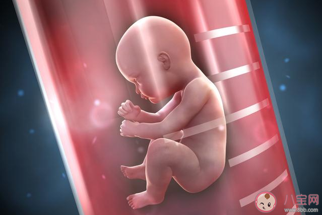 试管婴儿能避免宫外孕吗 试管婴儿可能出现宫外孕的几种情况