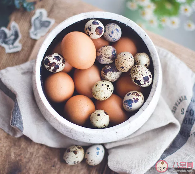 鸡蛋和鹌鹑蛋哪个营养更高 鸡蛋和鹌鹑蛋哪个更适合孩子吃