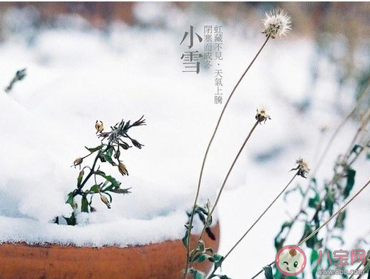 2019今日小雪创意文案句子 今日小雪的朋友圈祝福语30句