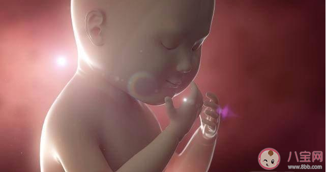 孕期胎宝宝饿了有什么反应 胎宝宝饿了的几种表现