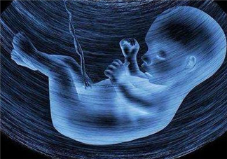 孕期胎宝宝饿了有什么反应 胎宝宝饿了的几种表现