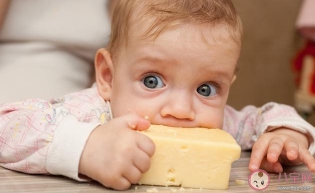 什么奶酪适合宝宝吃 宝宝怎么吃奶酪更健康