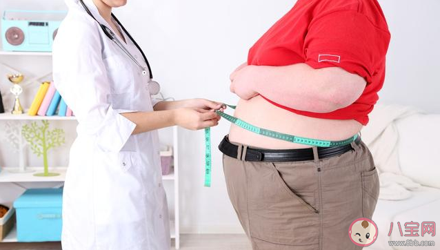 腰越胖越容易患癌吗 为什么人胖最先胖在腰上