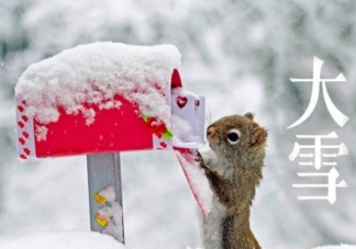 关于大雪节气祝福语一句话句子 大雪朋友圈暖心祝福语