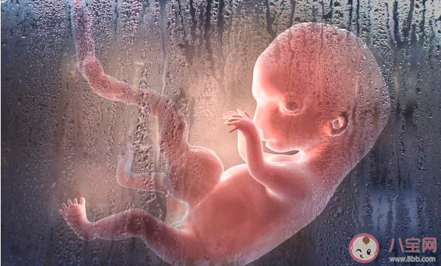 生化妊娠和自然流产是一回事吗 生化妊娠和自然流产有什么区别