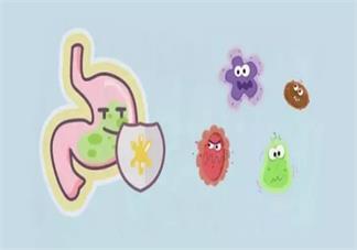 孩子感染幽门螺杆菌怎么办 孩子感染幽门螺杆菌严重吗